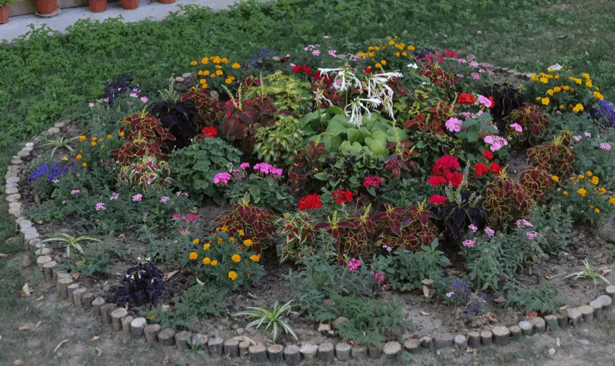 Plant a Herb Spiral