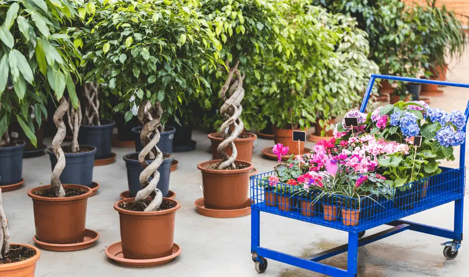 Add Mobile Container Gardens