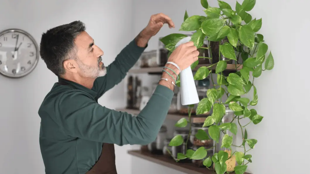 Create a Vertical Herb Wall