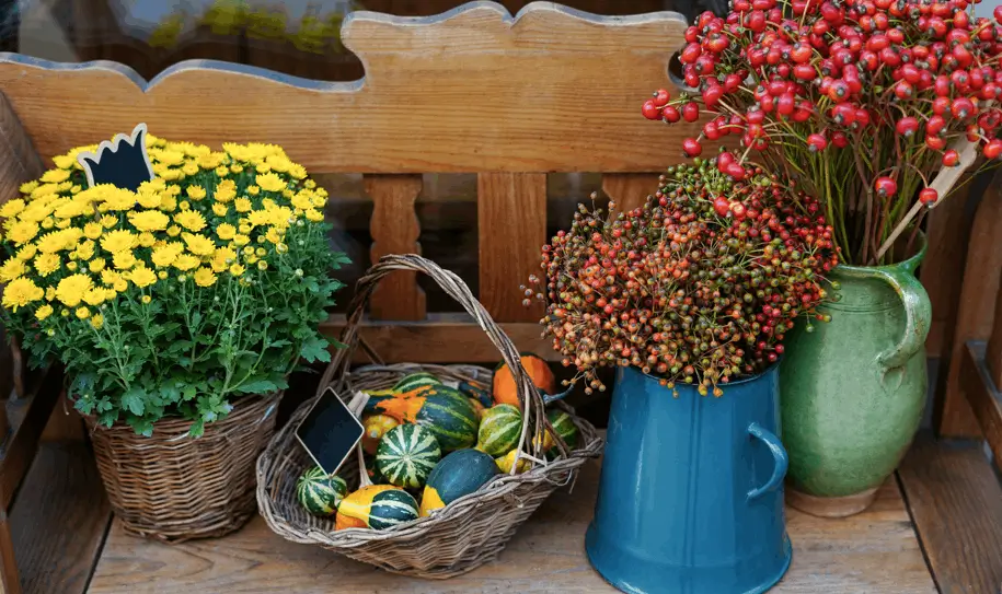 Combine Ornamentals and Edibles