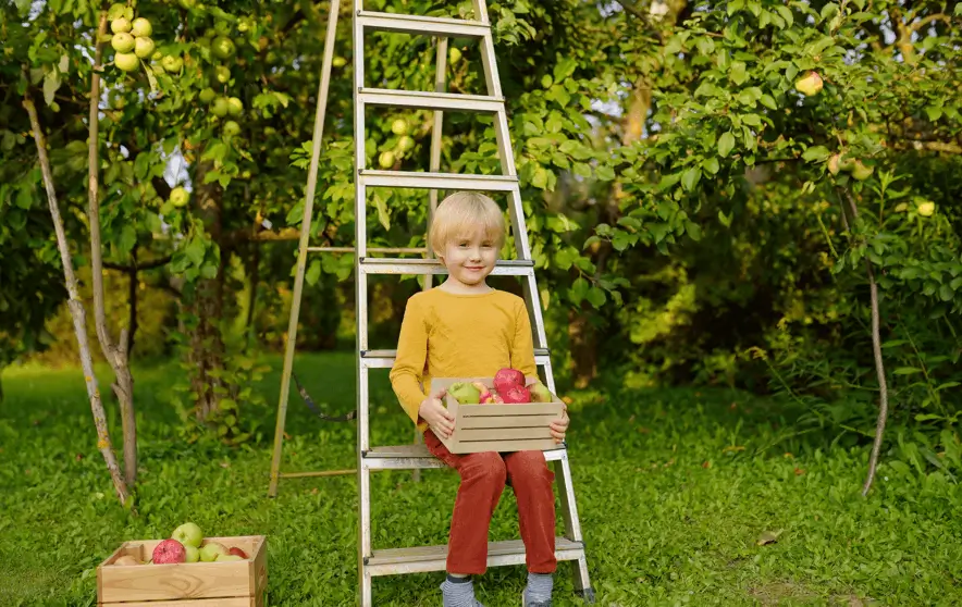 Edible Garden Ideas