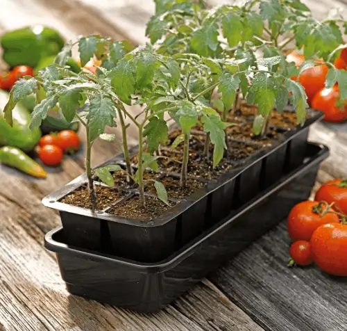 Gardener's Supply Self-Watering Planter