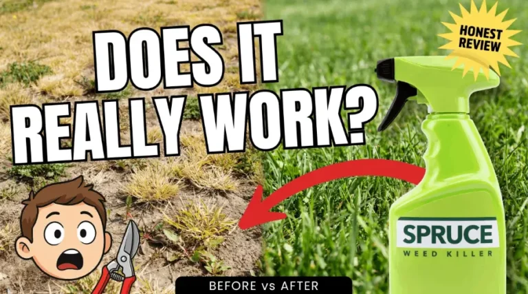 Spruce Weed Killer Review