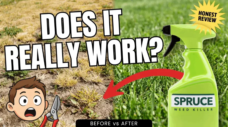 Spruce Weed Killer Review